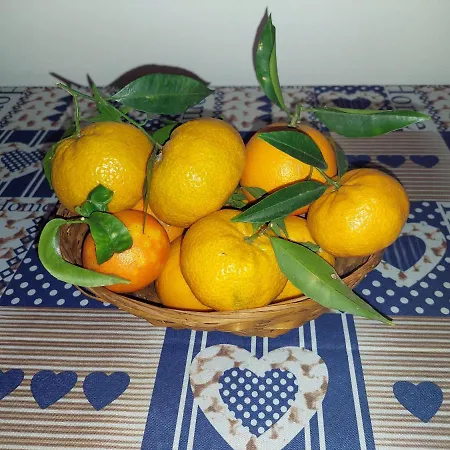 بيت للعطل Casetta Relax Da Antonio مينفي